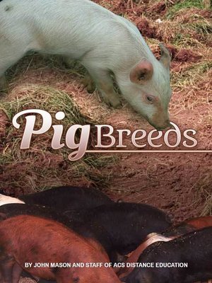 cover image of Pig Breeds